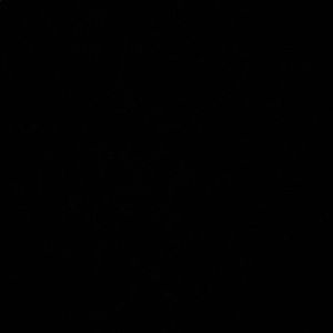 Meet your Posher, Jada